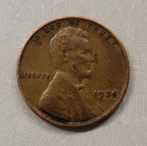 1000024157.jpg