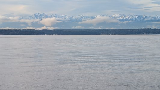PXL_20241231_220513900.MP-.jpg