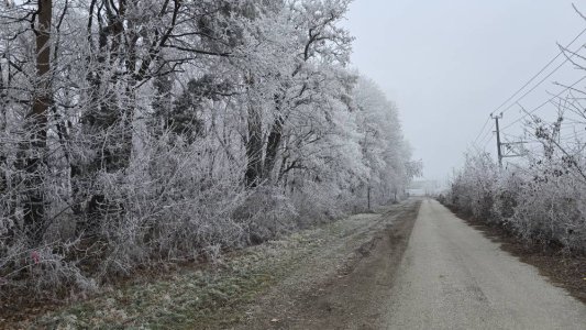 20250101_095330.jpg