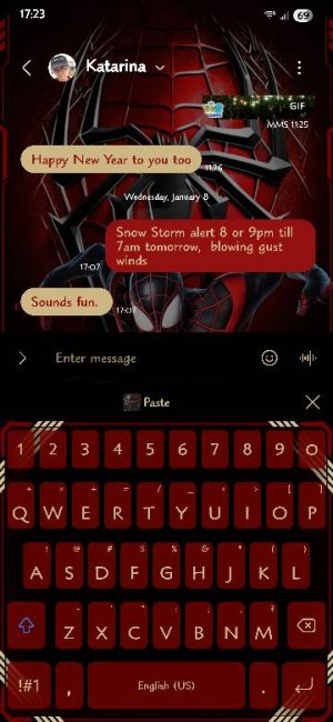 Screenshot_20250111_172335_Messages.jpg