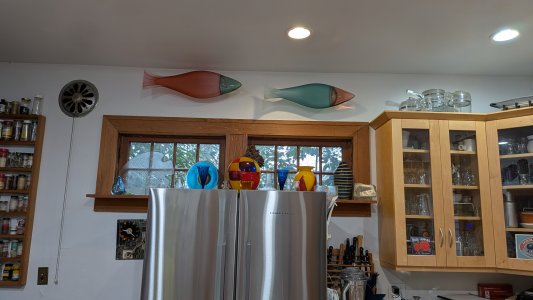 PXL_20250115_172150961.MP--.jpg