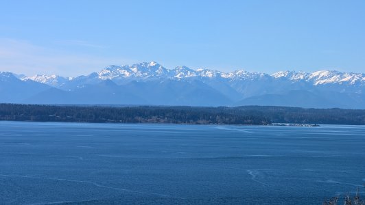 PXL_20250212_215013573.MP.jpg