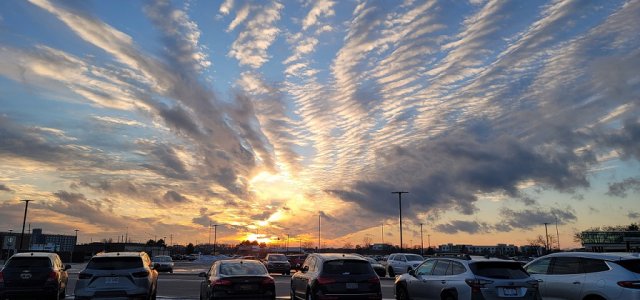 20250206_173714.jpg