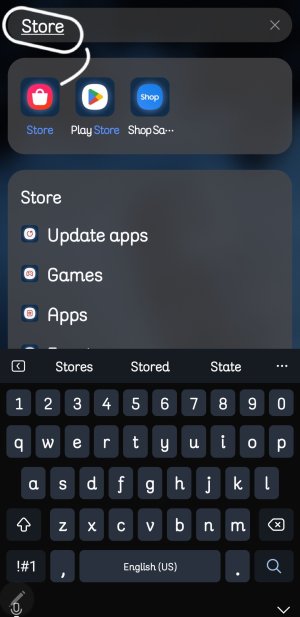 Screenshot_20250305_152333_One UI Home.jpg