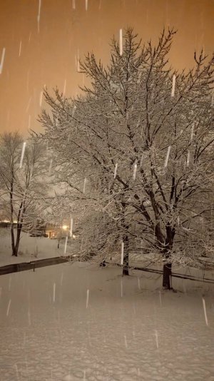 PXL_20250308_021156883~2.jpg
