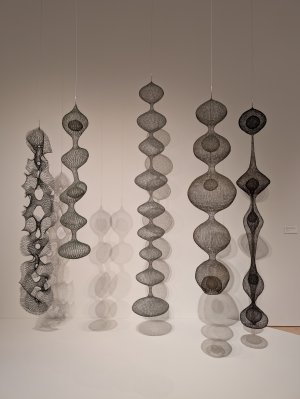 PXL_20250412_221437780.jpg