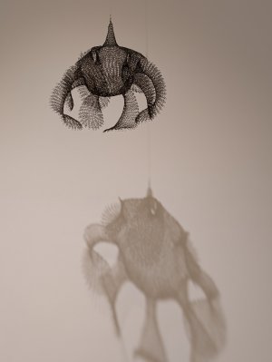 PXL_20250412_222315656.jpg