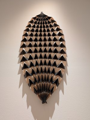 PXL_20250412_220946661.jpg