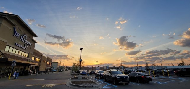 1000029095.jpg