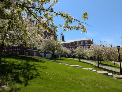 PXL_20250511_170036980.jpg