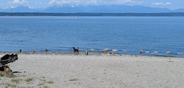 PXL_20250603_193826023.MP~2---.jpg
