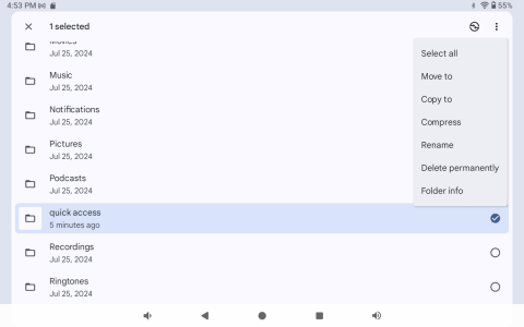 1751317225953.png