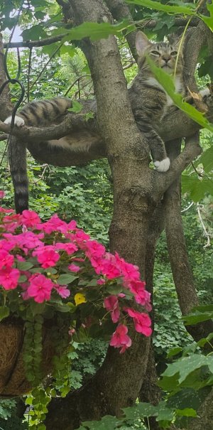 IMG_20250704_094511.jpg