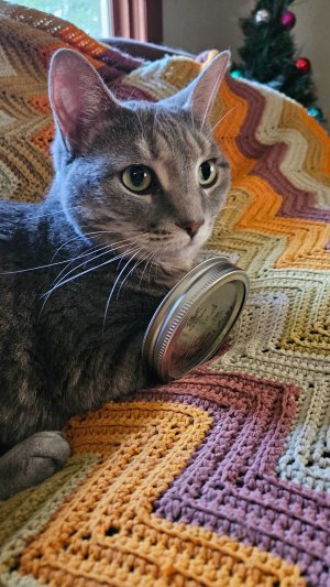20250630_200559.jpg