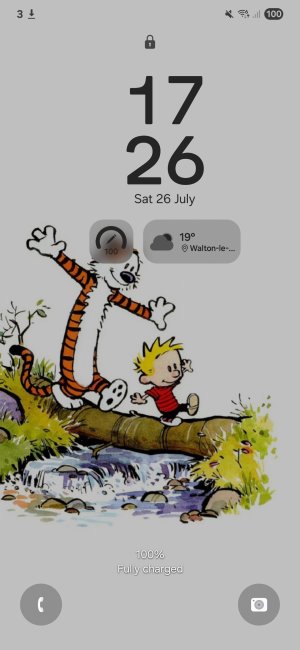 Screenshot_20250726_172615_Nova Launcher.jpg