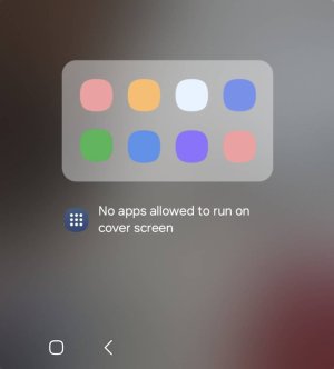 Screenshot_20250726_133807_One%20UI%20Cover%20Home.jpg