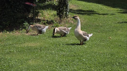 20250725_112642.jpg