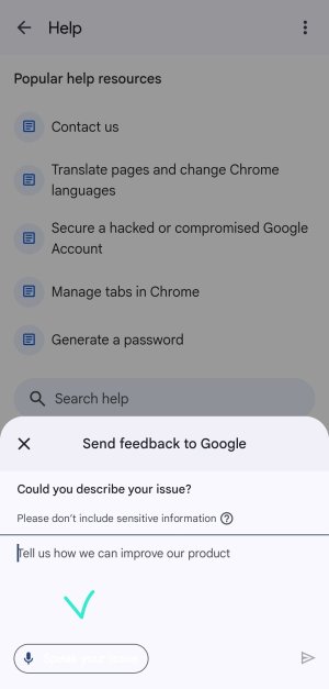 Screenshot_20250731_213717_Google Play services.jpg