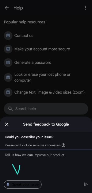 Screenshot_20250731_213445_Google Play services.jpg