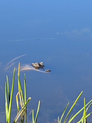 PXL_20250803_125452407.jpg