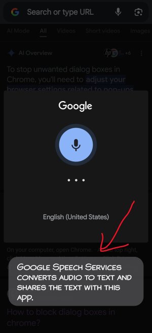 Screenshot_20250731_192140_Speech Recognition and Synthesis from Google.jpg
