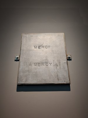 PXL_20250627_035215500.jpg
