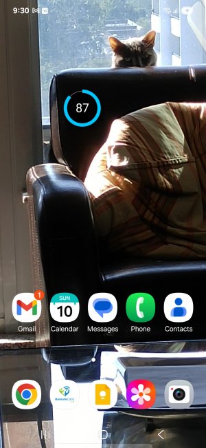 1000034299.jpg