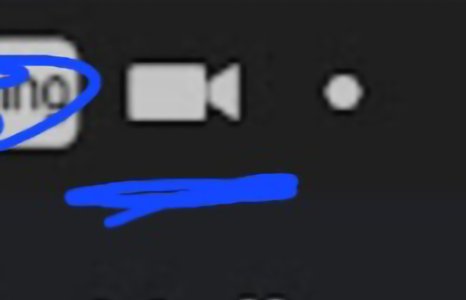 1000056517.jpg