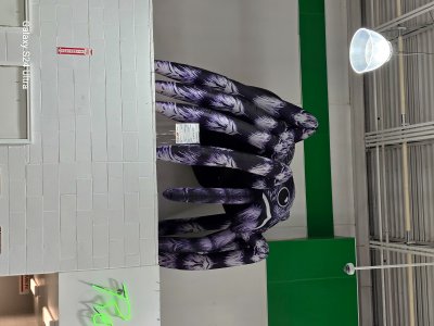 20250822_190828.jpg