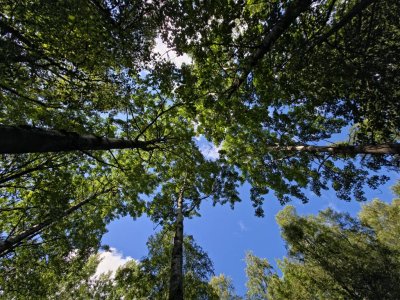 20250825_145533.jpg