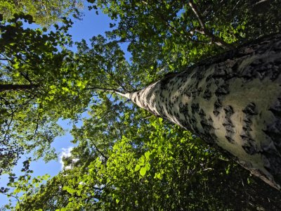 20250825_143745.jpg