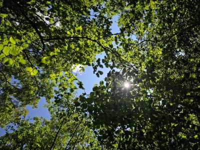 20250825_143758.jpg
