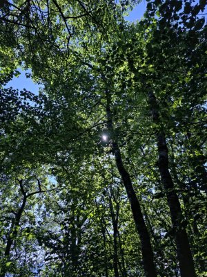 2011421307.jpg