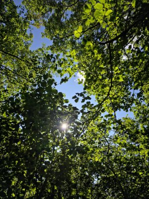 2031630288.jpg
