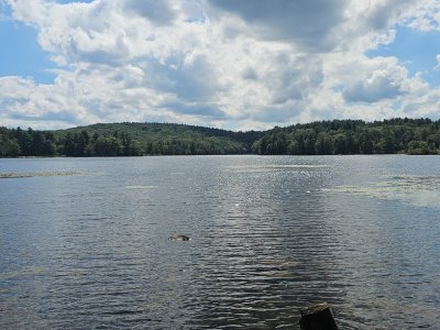 20250825_141618.jpg