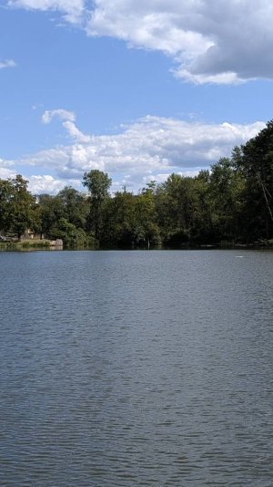 PXL_20250901_191622321.jpg