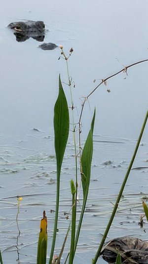 PXL_20250911_125054441~2.jpg