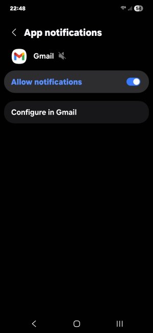 Screenshot_20250923_224821_Settings.jpg