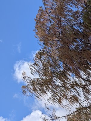 PXL_20250904_234311263.jpg