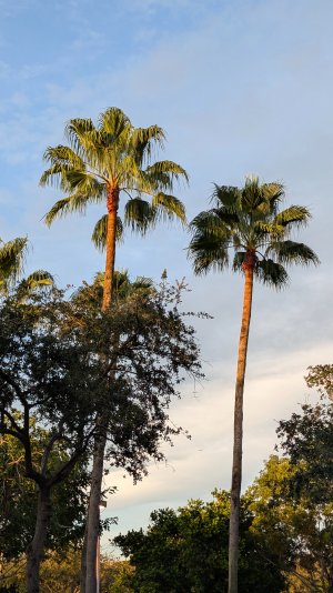 PXL_20250927_225246356.jpg