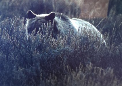 20251001_215836.jpg