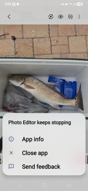 Screenshot_20251008_150943_Gallery.jpg