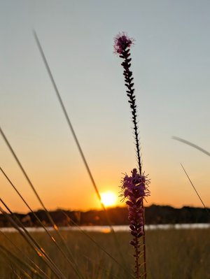 PXL_20250920_230816202~2.jpg