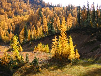 IMG_1848.JPG IMG_1848.JPG