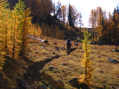 IMG_1859.JPG IMG_1859.JPG