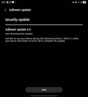 Screenshot_20251211_083153_System update.jpg