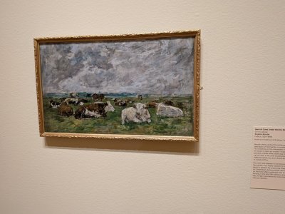 PXL_20251211_182957115.MP-.jpg PXL_20251211_182957115.MP-.jpg