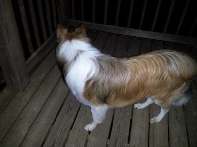 20130527_213012.jpg
