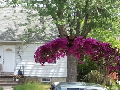 20130704_140609.jpg
