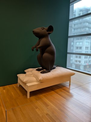 PXL_20251211_190536387.MP.jpg PXL_20251211_190536387.MP.jpg